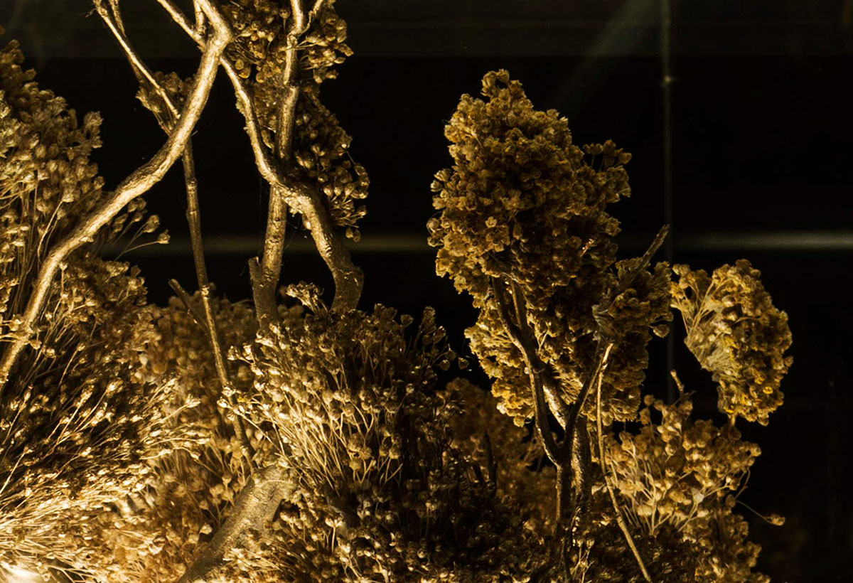 Adobe Portfolio Iinstallation InstallationArt Diorama Golden Lane forest mirrors Marielin Simons art atmosphere light beams lane