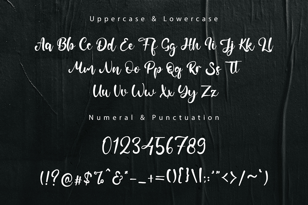 baroness branding  designfont font lettering Logotype modern Script Typeface typewriter