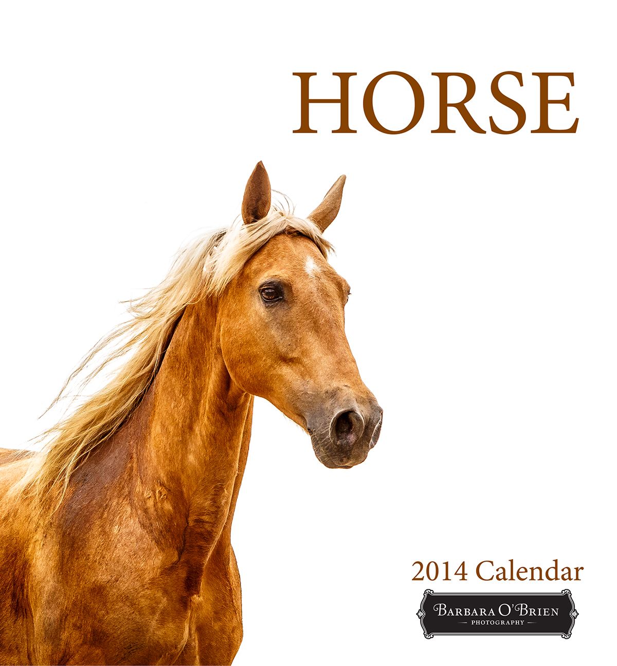 animal horse palomino running calendar Beautiful morgan arabian warmblood quarter horse gypsy vanner