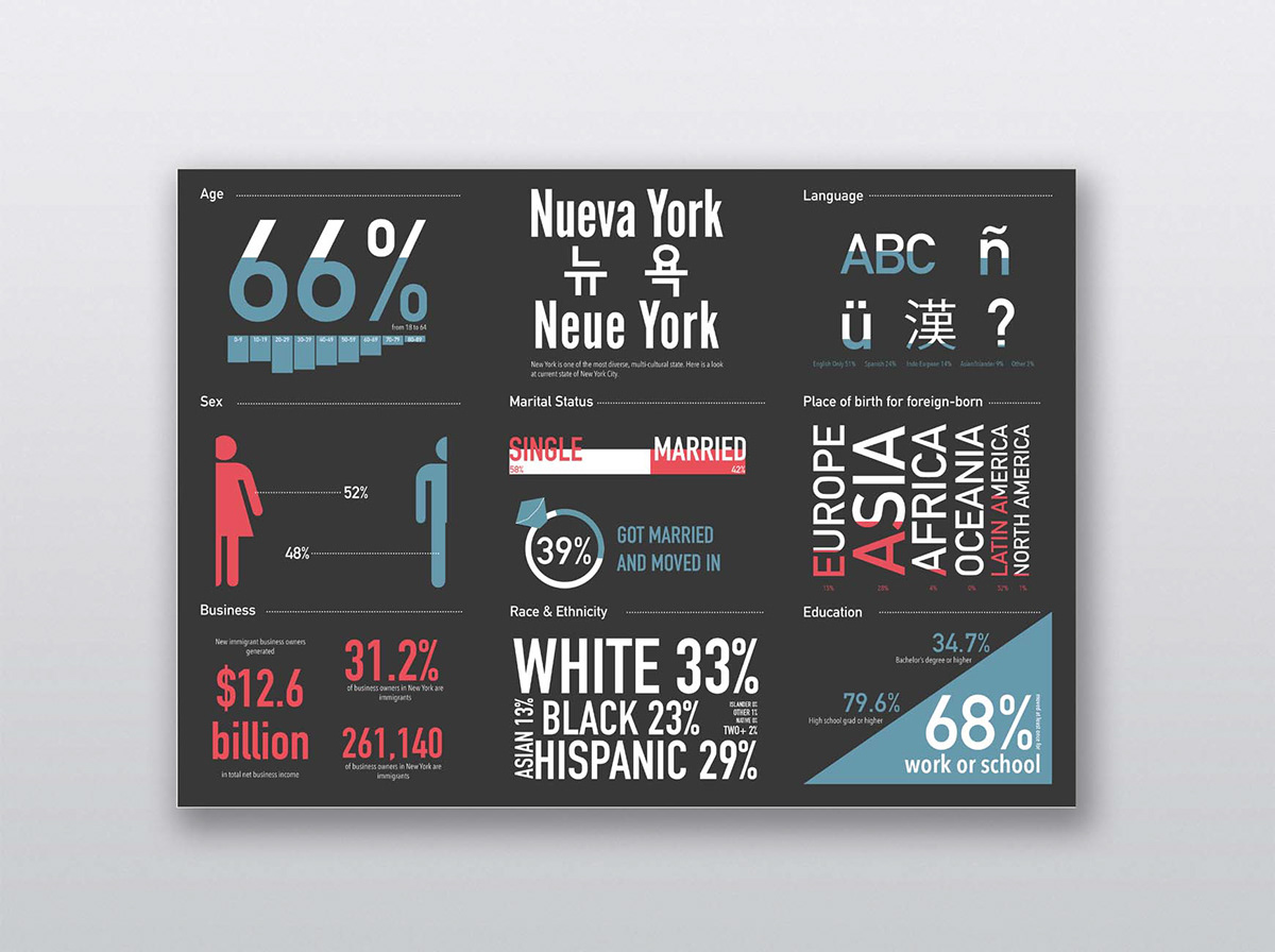 infographic newyork census reporter