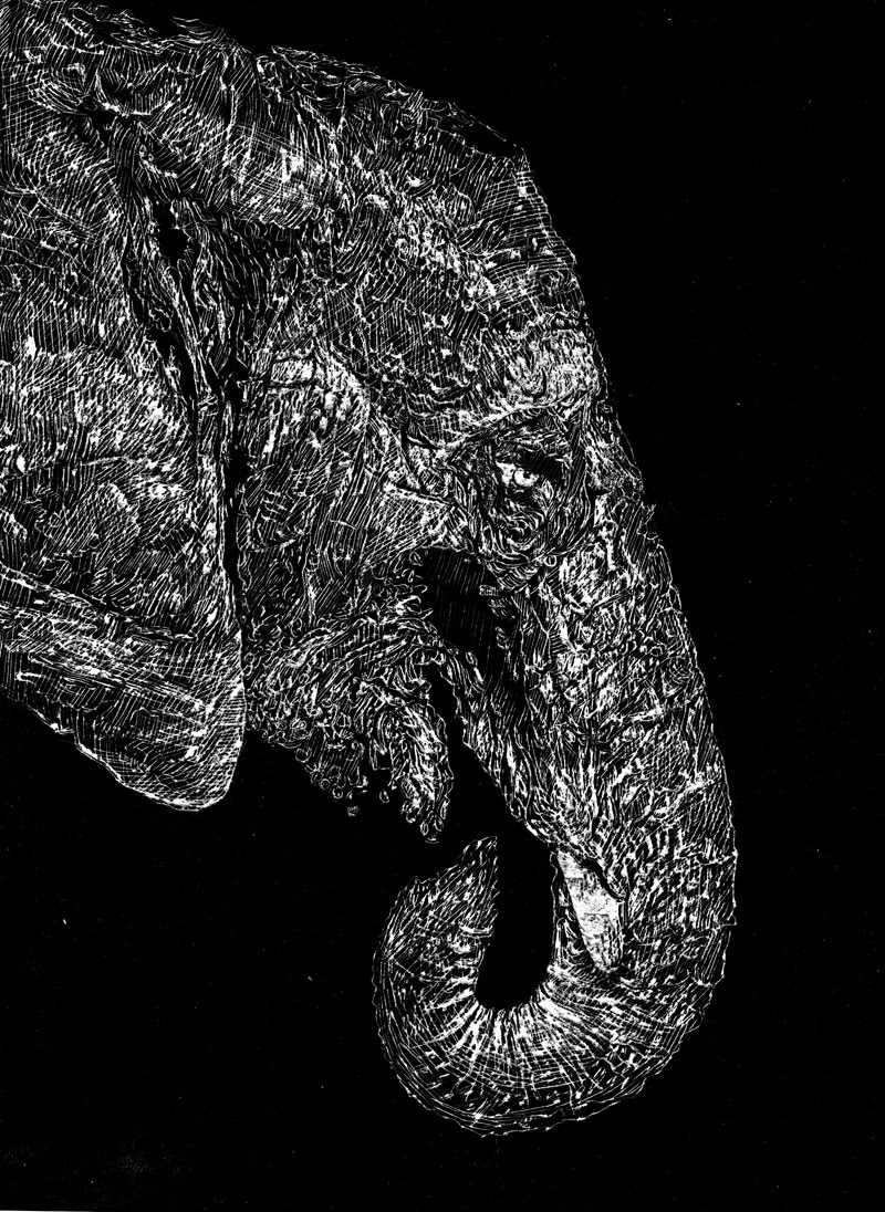 ink graphic Needle fish bird elephant animal