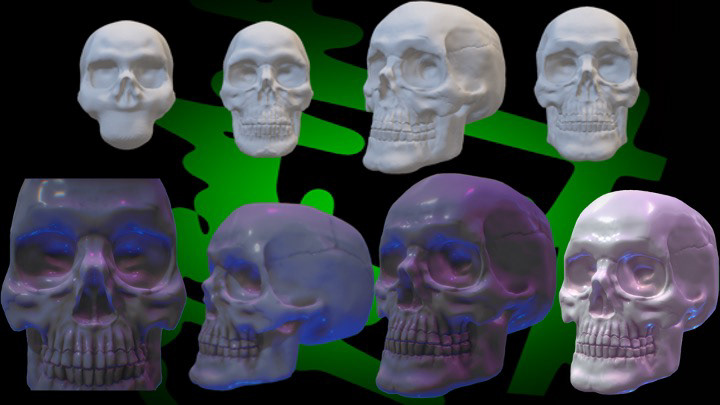 Adobe Portfolio 3D 3D model 3d modeling Render Sculptris skeleton skull visualization