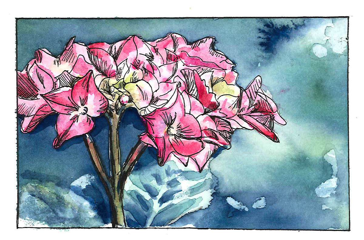 Flowers buds watercolor sketch