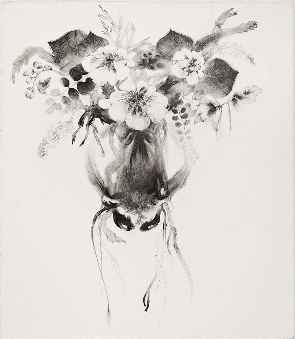 graphite pencil black and white paper kunst art drawingart Plant Flora studio print