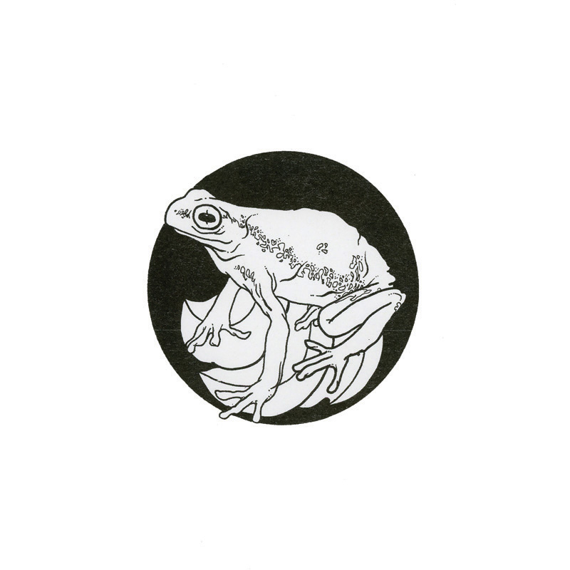 Tadpole frog logo symbol Transformation junior high japanese japan 中学校 変換 Metamorphosis