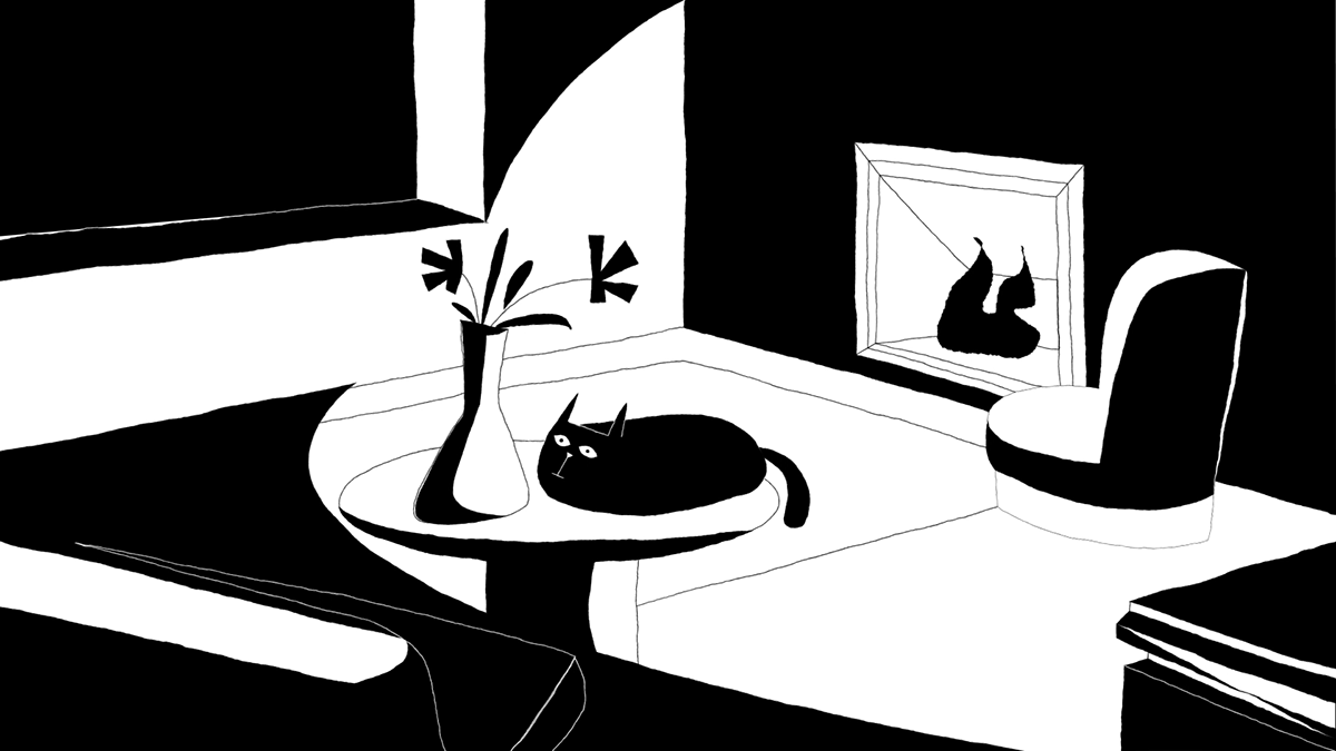 animation  Cat 2D motiongraphics