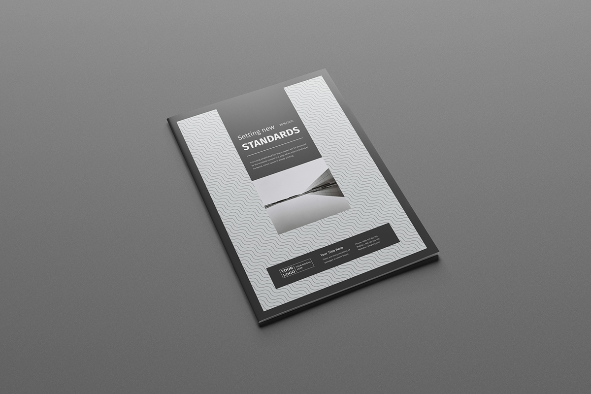 agency agency proposal brochure clean corporate Divided economic financial grey InDesign infographic modern multi multicorp Multipurpose