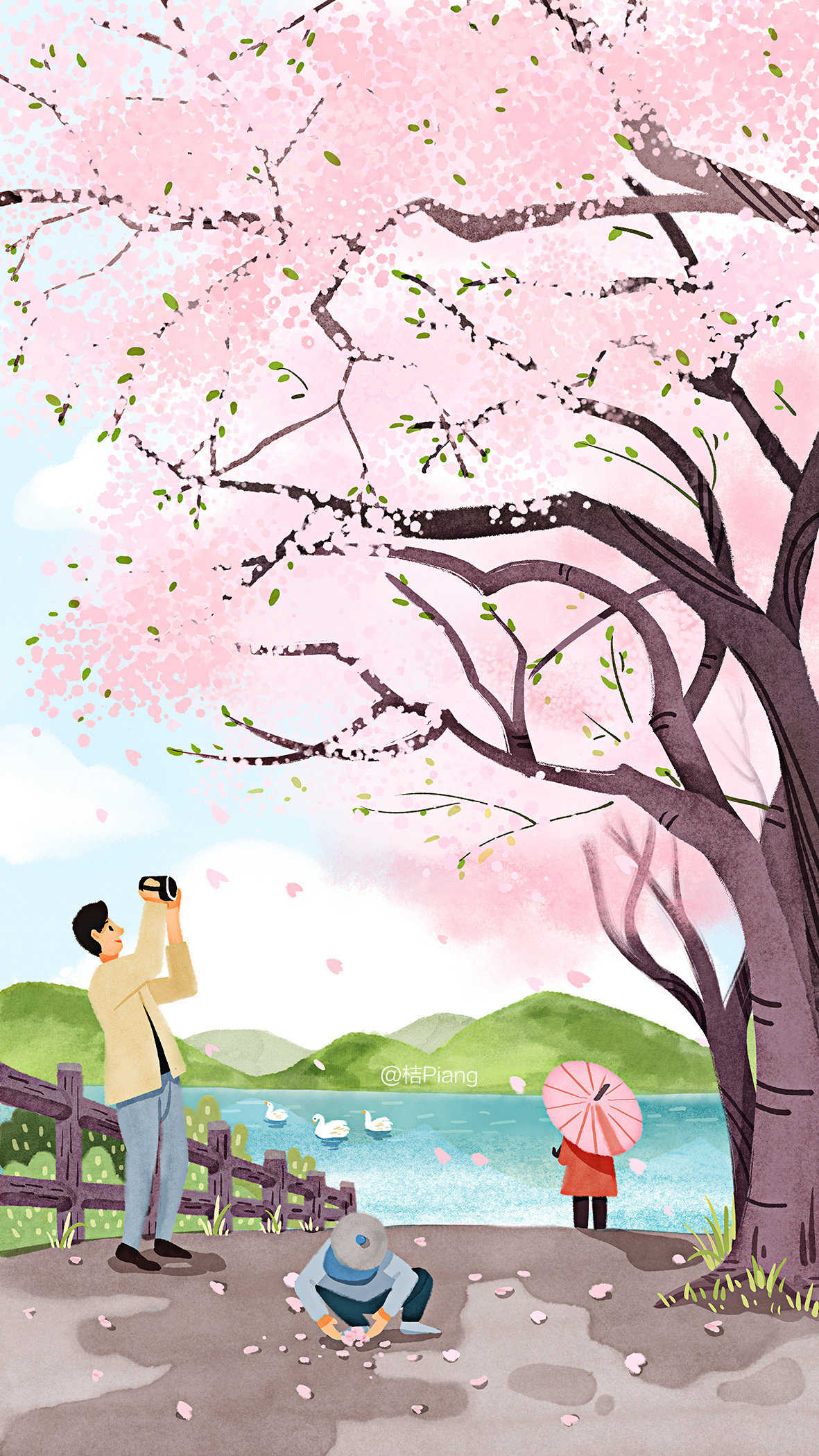 Cherry Blossom sakura spring picnic teatime wallpaper spring outing tea cake dessert