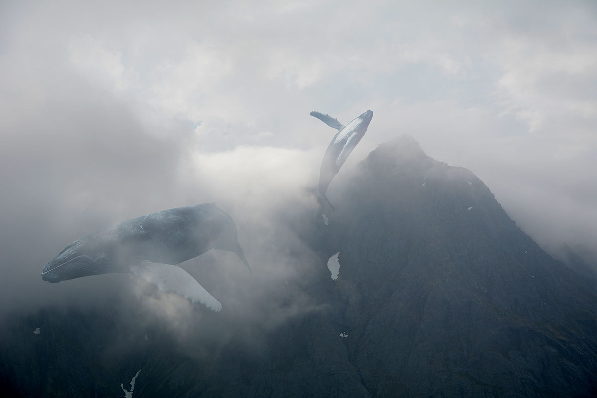 strange Whale juxtaposed wierd mosk upsidedown mountains Landscape pound beach submarine