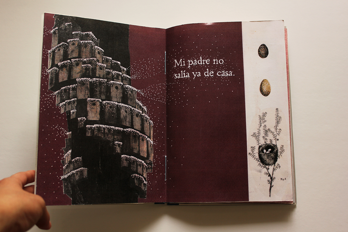 Gabriele book LIBRO EXPERIMENTAL Los Pajaros ILLUSTRATION  Embroidery uba fadu papercutting ilustracion