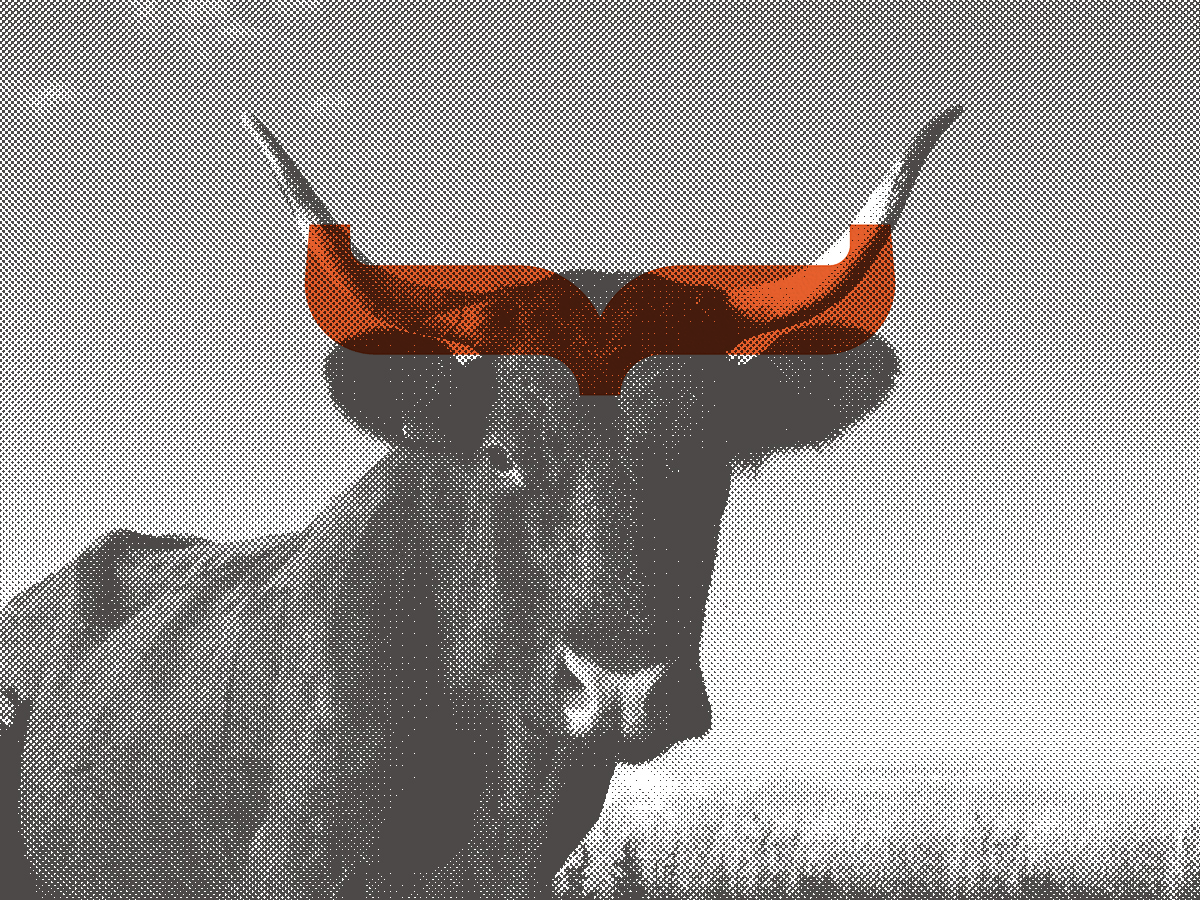 brand VI logo calf bull financial