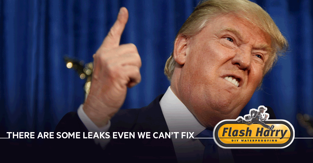 Flash Harry Waterproofing Trump putin satire panamapapers Leak DIY social media campaign