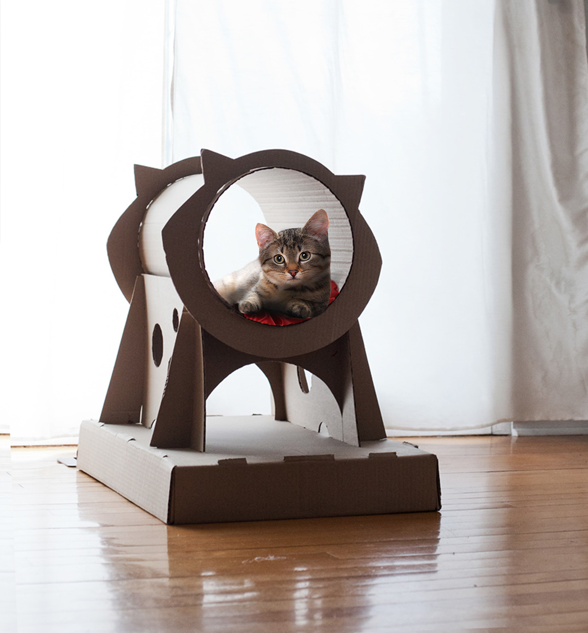 Cat Cat house cardboard