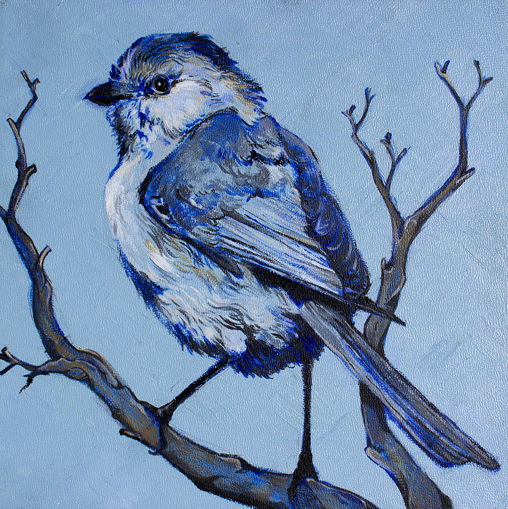 bird watercolor acrylic ornithology