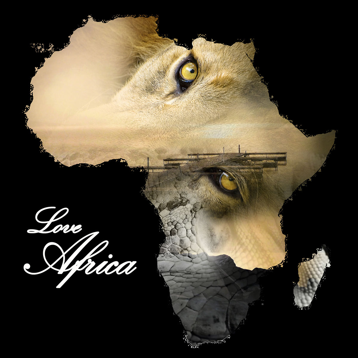 afrique lion visuel
