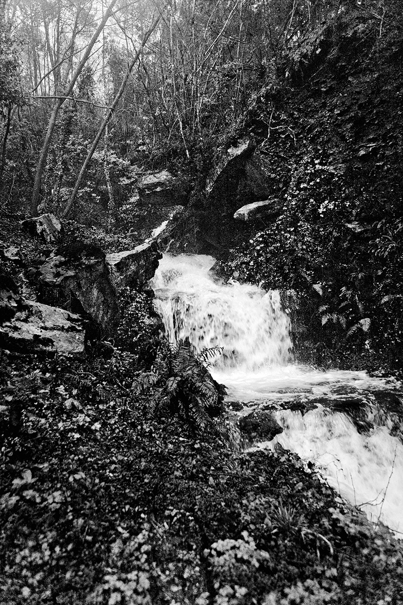 waterfall forest Nature Landscape vorno Tuscany Italy b&w