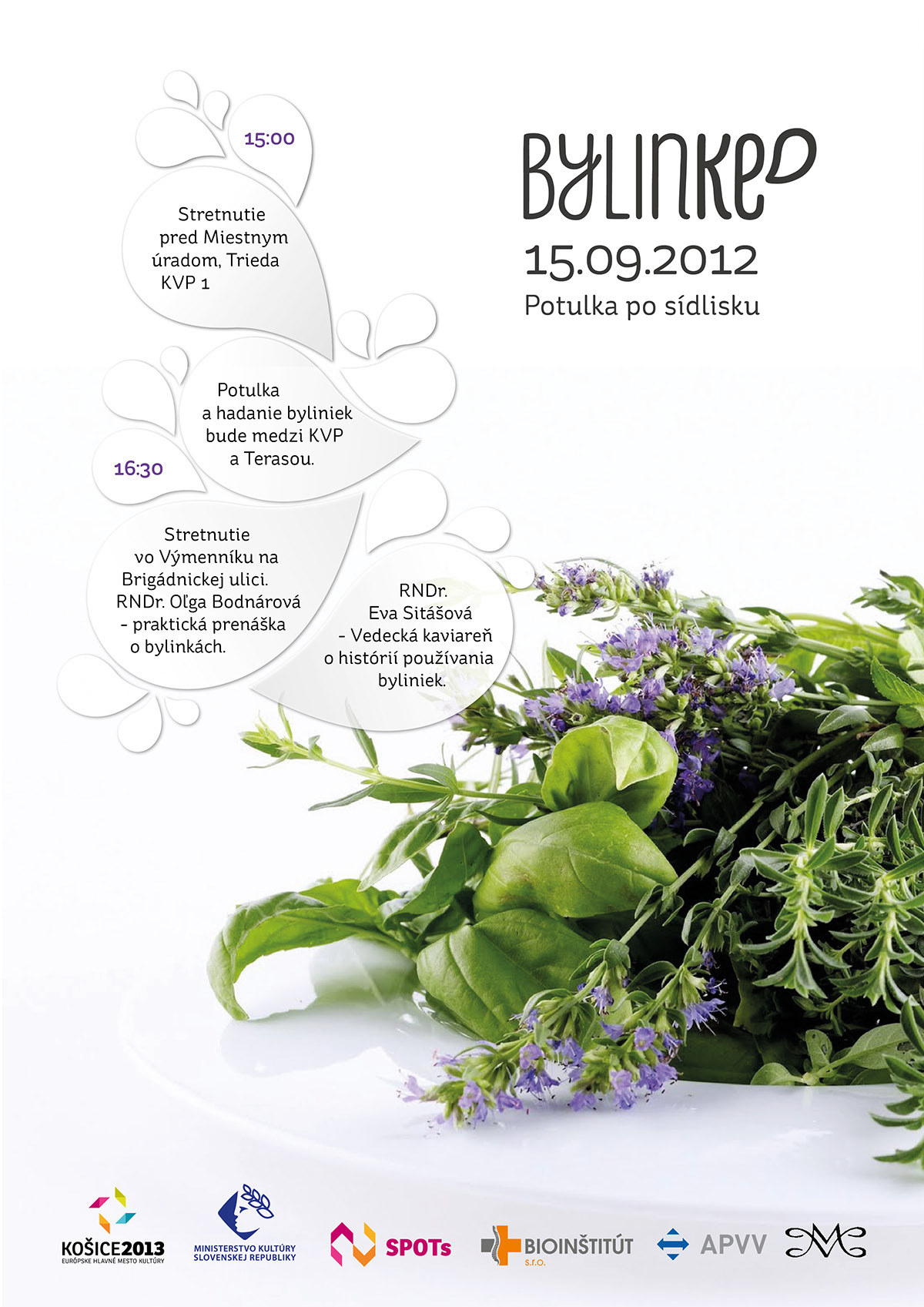 book Herb herbal city editorial design binding poster recipes heald care Nature Flowers logo Logotype