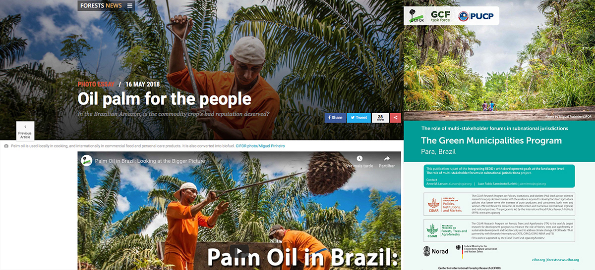 Amazon Rainforest Brazil CIFOR dende environment farmers industry Palm Oil pollution Rotterdam