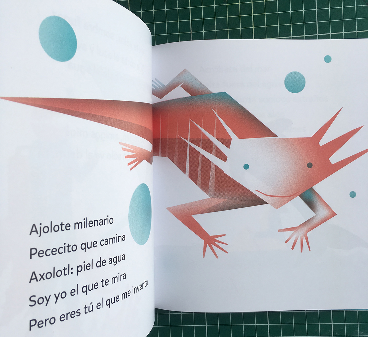 Planeta ediciones poesia animales libro editorial ilustracion