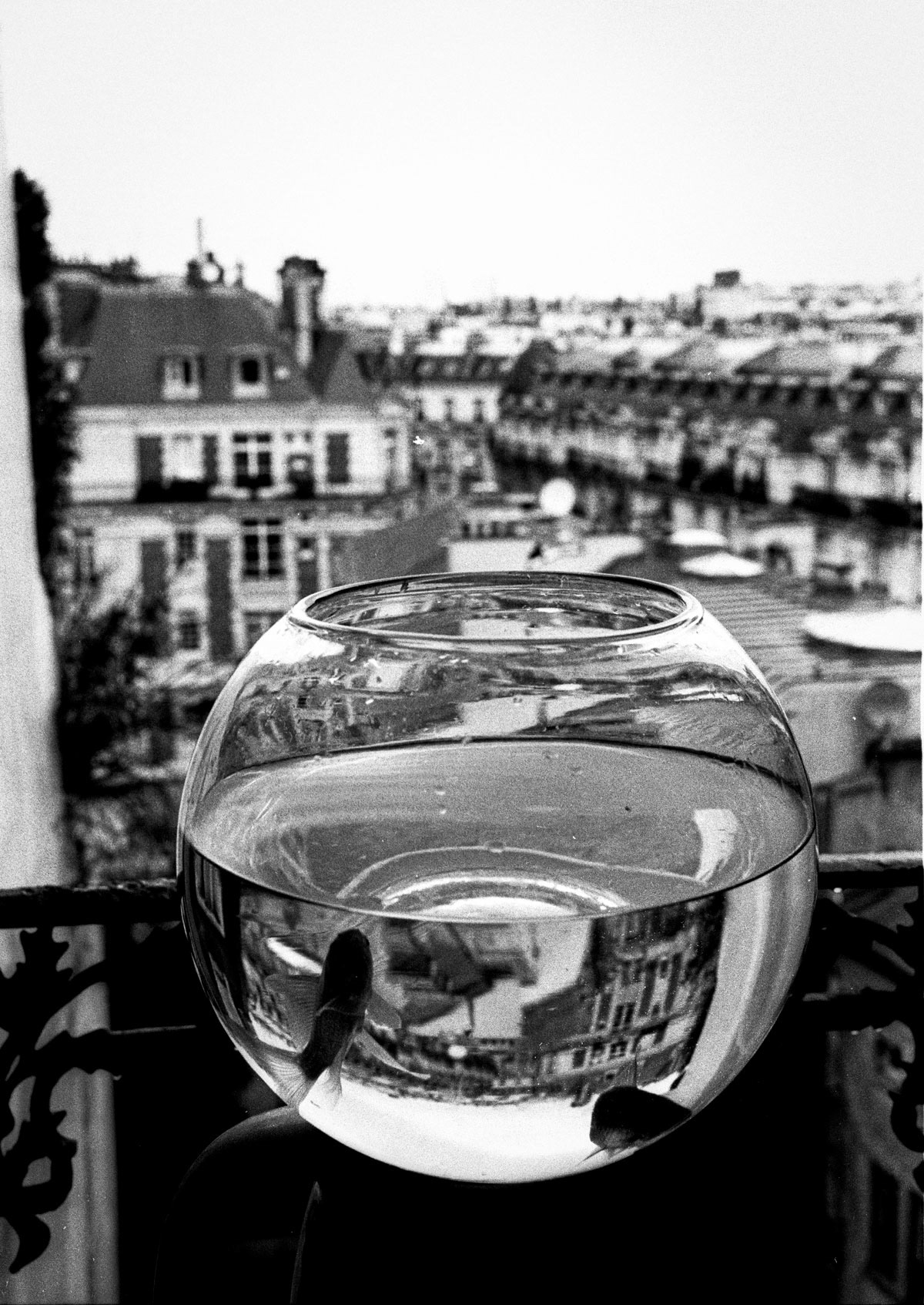 black and white city Paris people Photography  Street leica M Leica M6 monochrome street photography