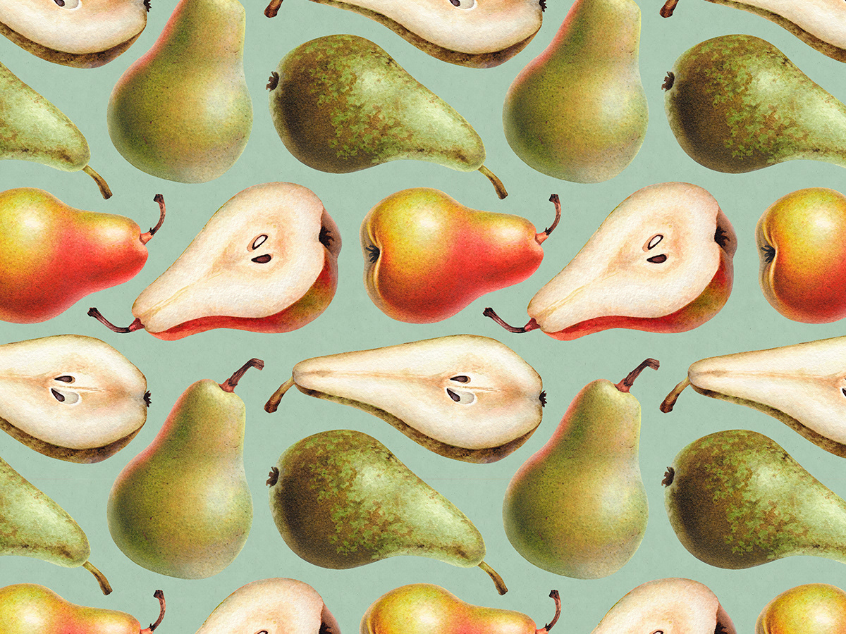 Pear apple Fruit ILLUSTRATION  print design pattern seamless Drawing  watercolor