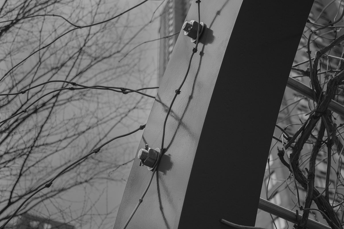 black and white new york city