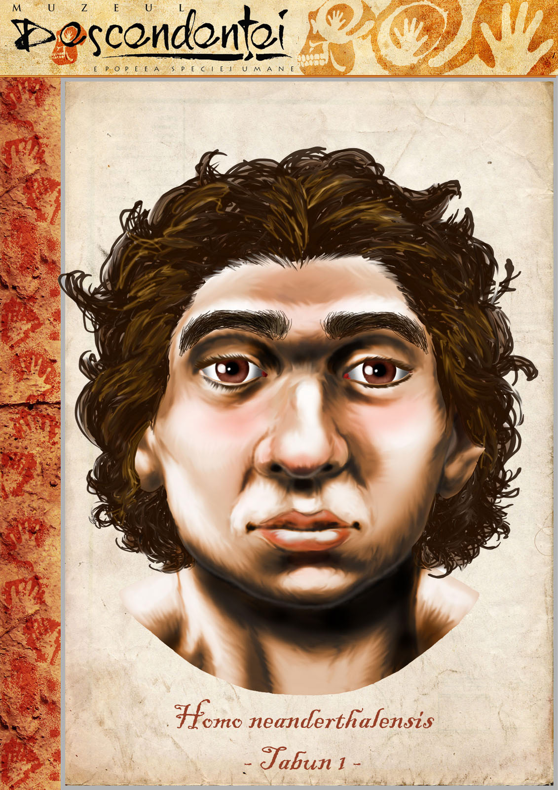 homo neanderthal tabun child human evolution australopithecus afarensis habilis ergaster erectus paranthropus boisei cro-magnon ardipithecus