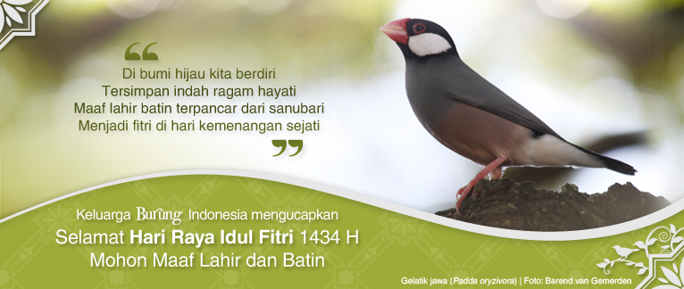 Burung Indonesia  Eid Mubarak Greetings card  Indonesia
