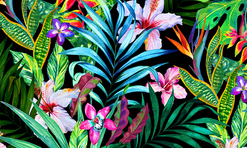 Tropical floral Flowers watercolor Interior swimwear leaves exotic pattern design