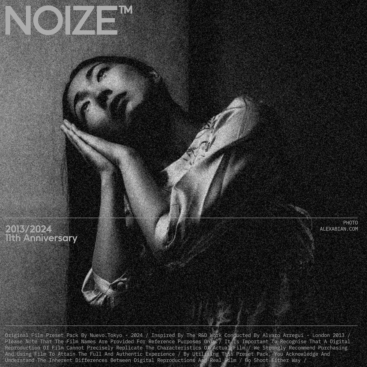 monochrome Film   presets lightroom black and white noir Photography  photo noize Nuevo Tokyo