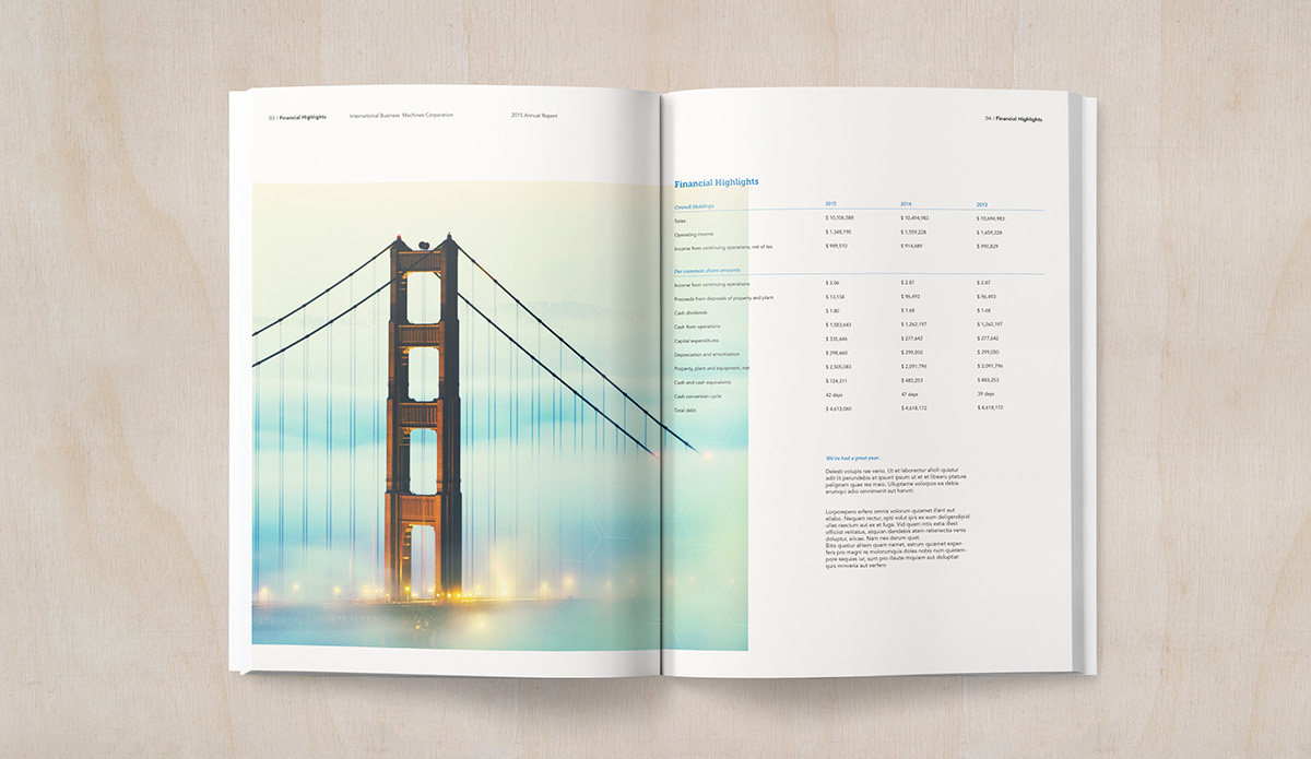 Adobe Portfolio editorial annual report graphic design  Corporate Design