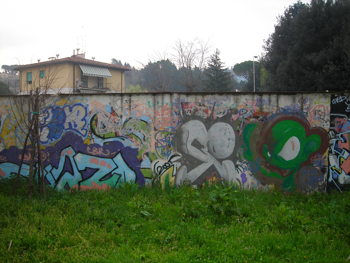 graffiti art graffiti photography italian graffiti Italy Vandalism guerrilla art milan Venice Florence Cam M. Roberts