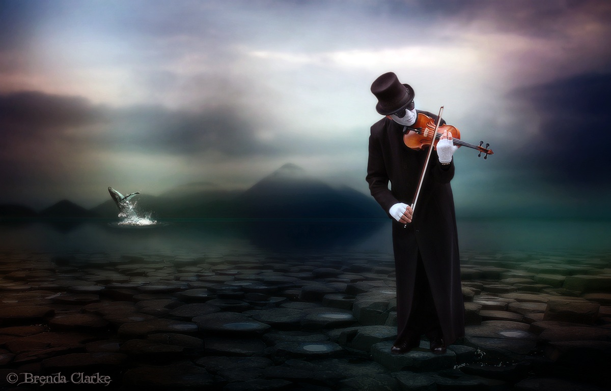 SUREAL Whale Violin music Digital Art  Photo Manipulation 