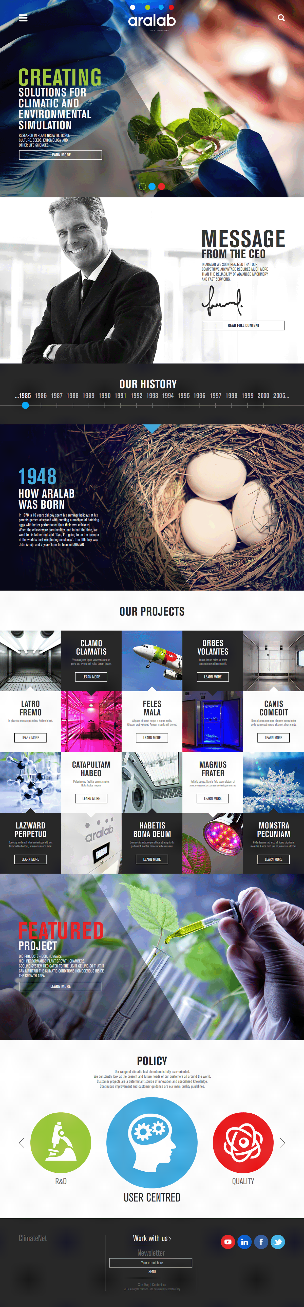 Aralab art direction  Art Director freelancer homepage Portugal Scroll Site ui design webdesigner Website
