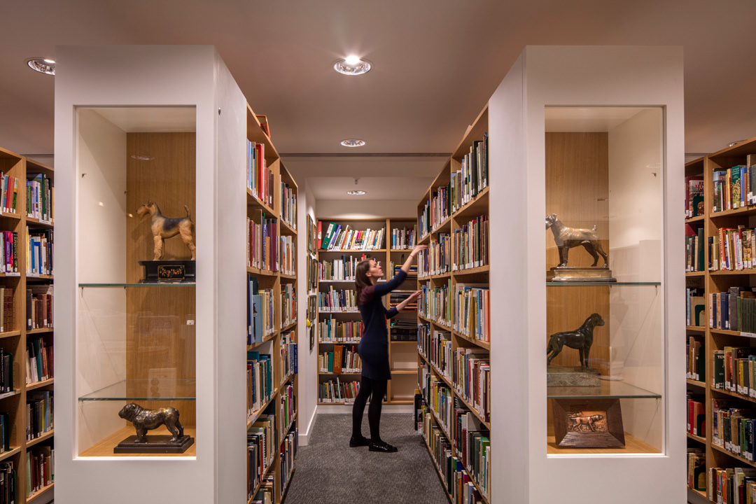 the kennel club dogs canine design library Members Club offices workplace work spaces consultancy