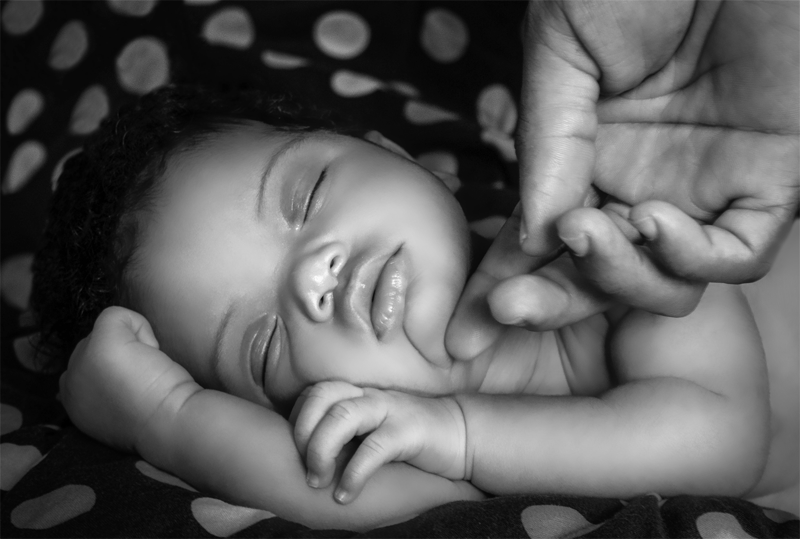 Adobe Portfolio baby newborn portrait Photography  child photographer family photography Child portraits hands touch baby photographer