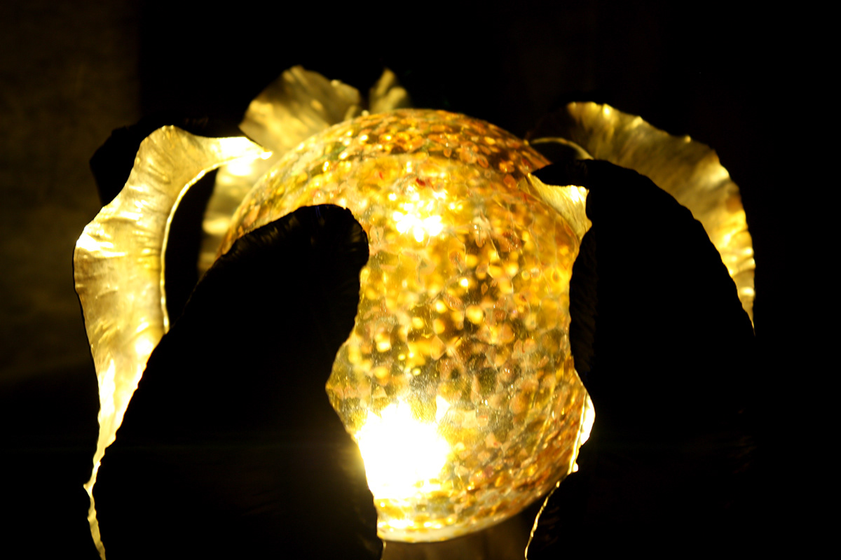 Seed Pod Light Sculptural Light Glass Light 