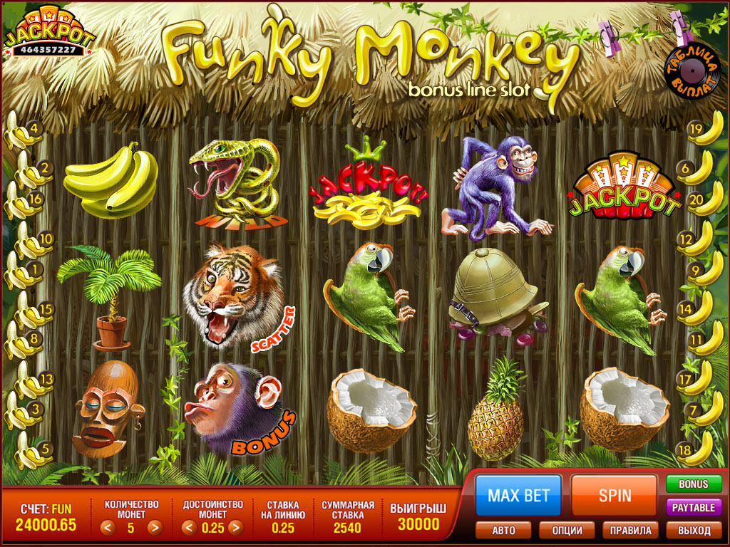 FUNKY MONKEY crazy monkey monkey slot machine forest casino jungle ape Coconut