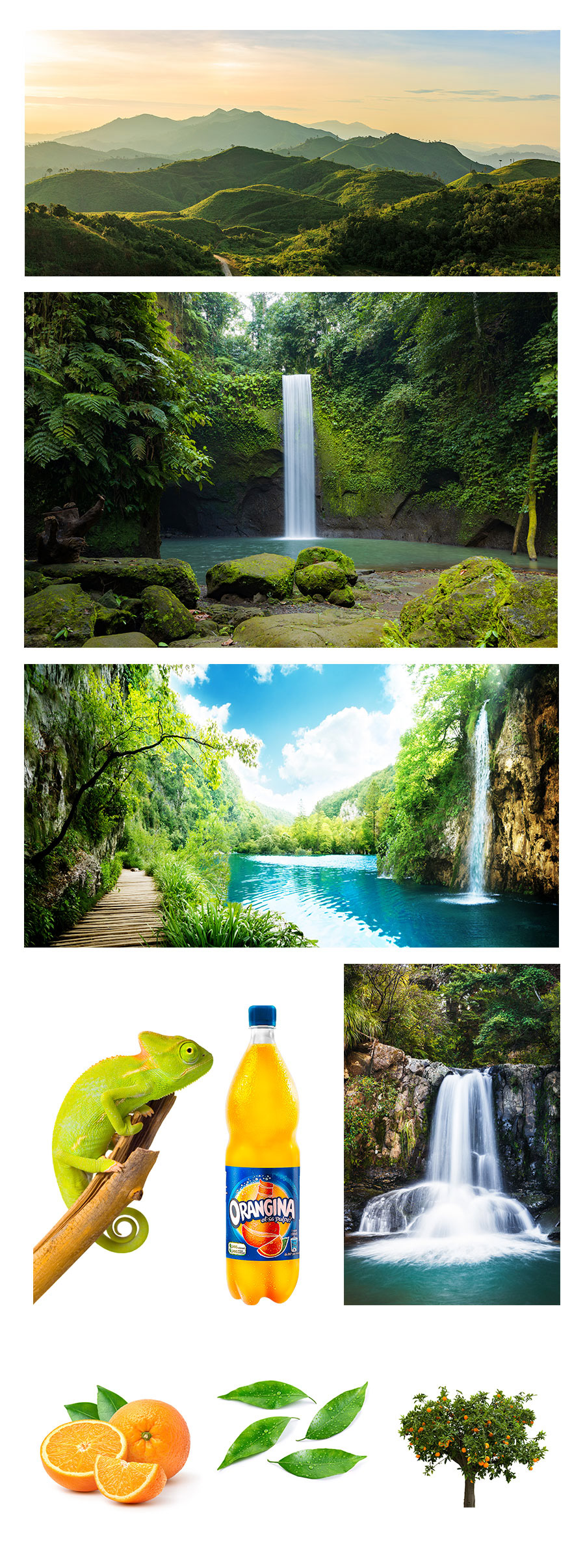 Orangina Gabon Fruit ads graphic design 