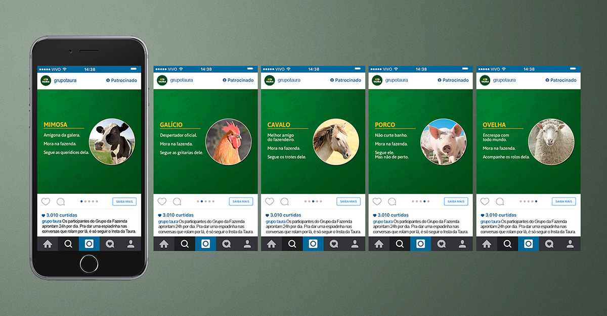 instagram animals WhatsApp farm Web
