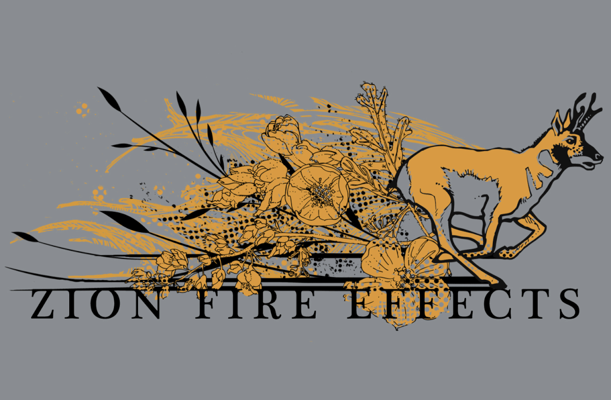 pronghorn antelope fire fire effect tee shirt silkscreen