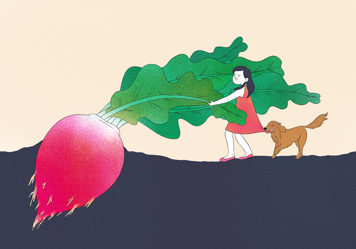 giant radish children's illustration kids illustration story radish vegetable childhood dogs spinoff