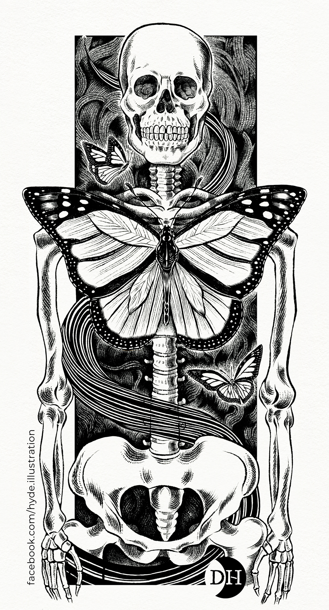 china su carta disegno disegno a china Farfalla farfalla monarca illustrazione a china monarch scheletro skull teschio