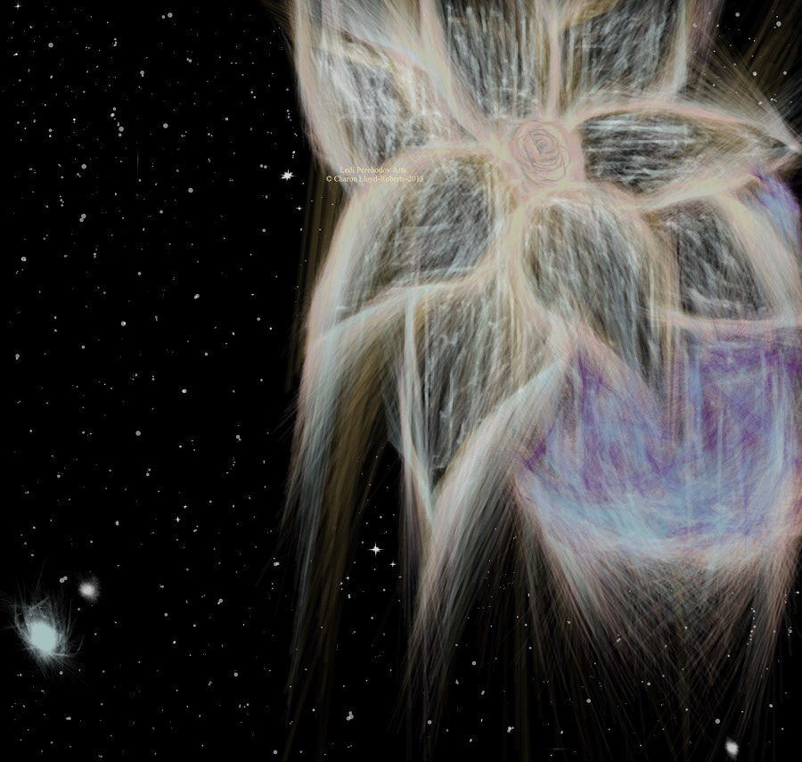 auroras Digital Art  digital painting floral Flowers petals Planets stars Asteroids orbs