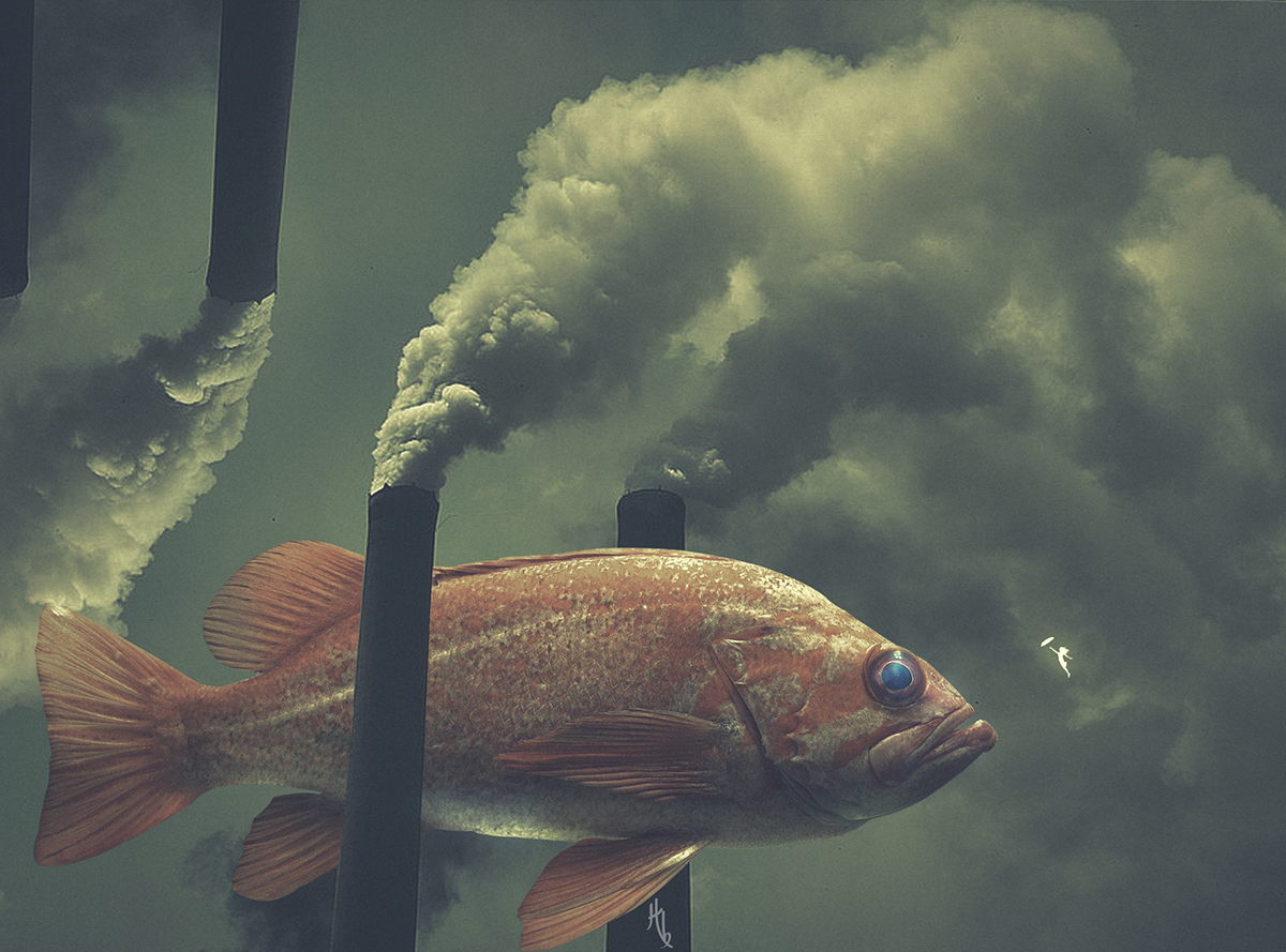 fish photoshop SKY smoke surreal fiction
