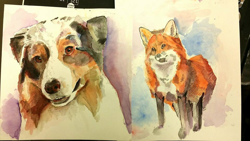 watercolor sketch dog FOX