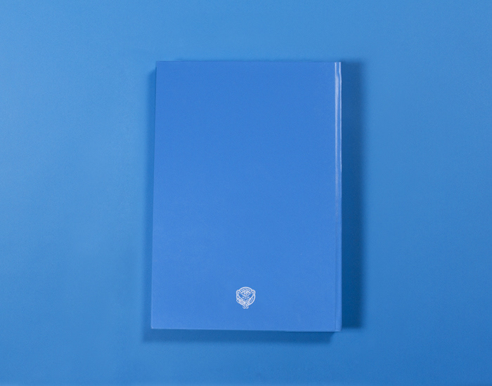 blue book design book ANNUAL Tonal type