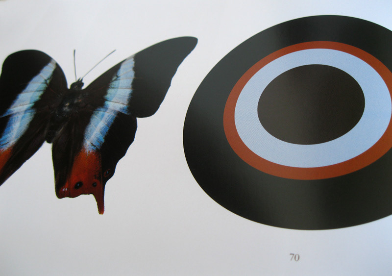 butterflies Borboletas Livro cover design infografia chromatic circles colours hot stamping binding