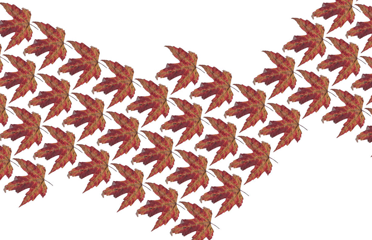 autumn leaves Fall Patterns pattern autumn leaves Desiree Tomich Pittsburgh