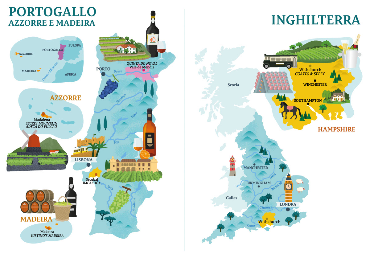 ILLUSTRATION  wine Travel Food  tourism maps infographic enogastronomia WINEYARD Editorial Illustration